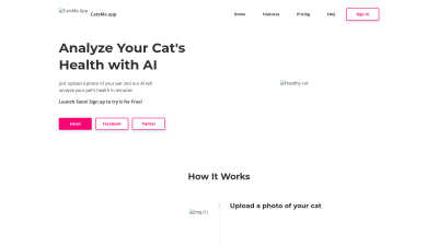 CatsMe - Professional AI tool for Analytics & Data