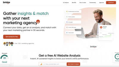Bridge - Professional AI tool for Marketing