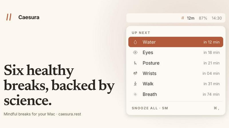 Caesura application interface and features