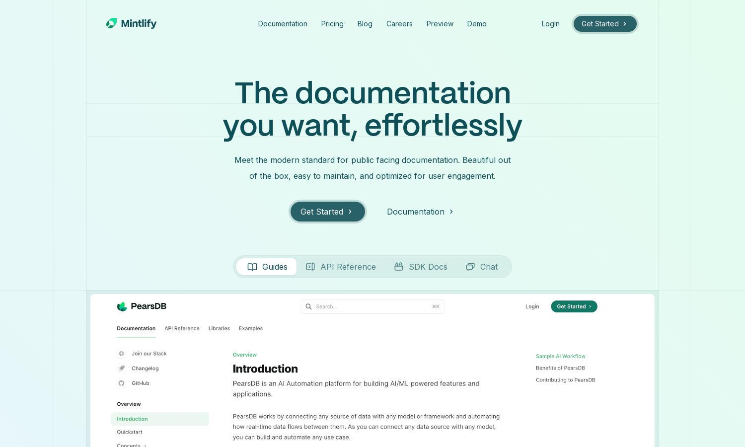 Mintlify Website